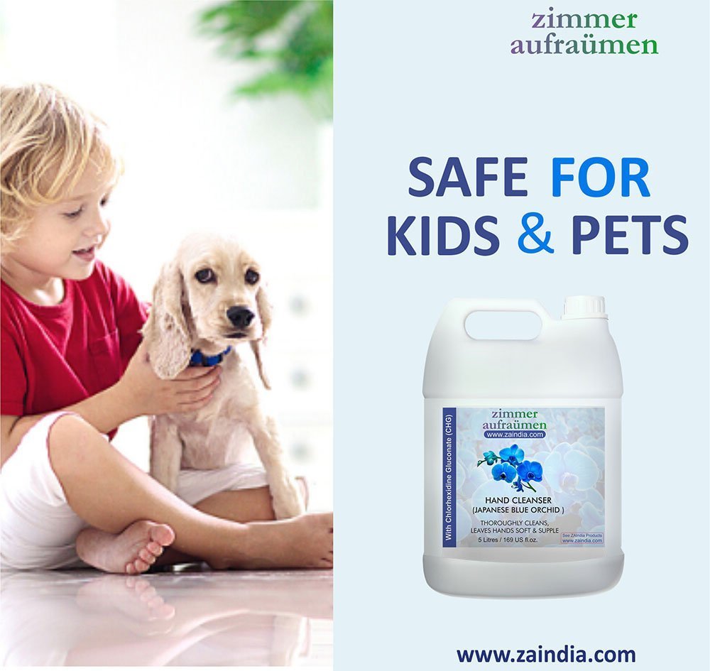 Hand Wash with CHG Disinfectant-5L (Blue Orchid) | 99.9% Germ-Killing - Image 8