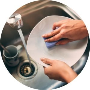 dishwash category